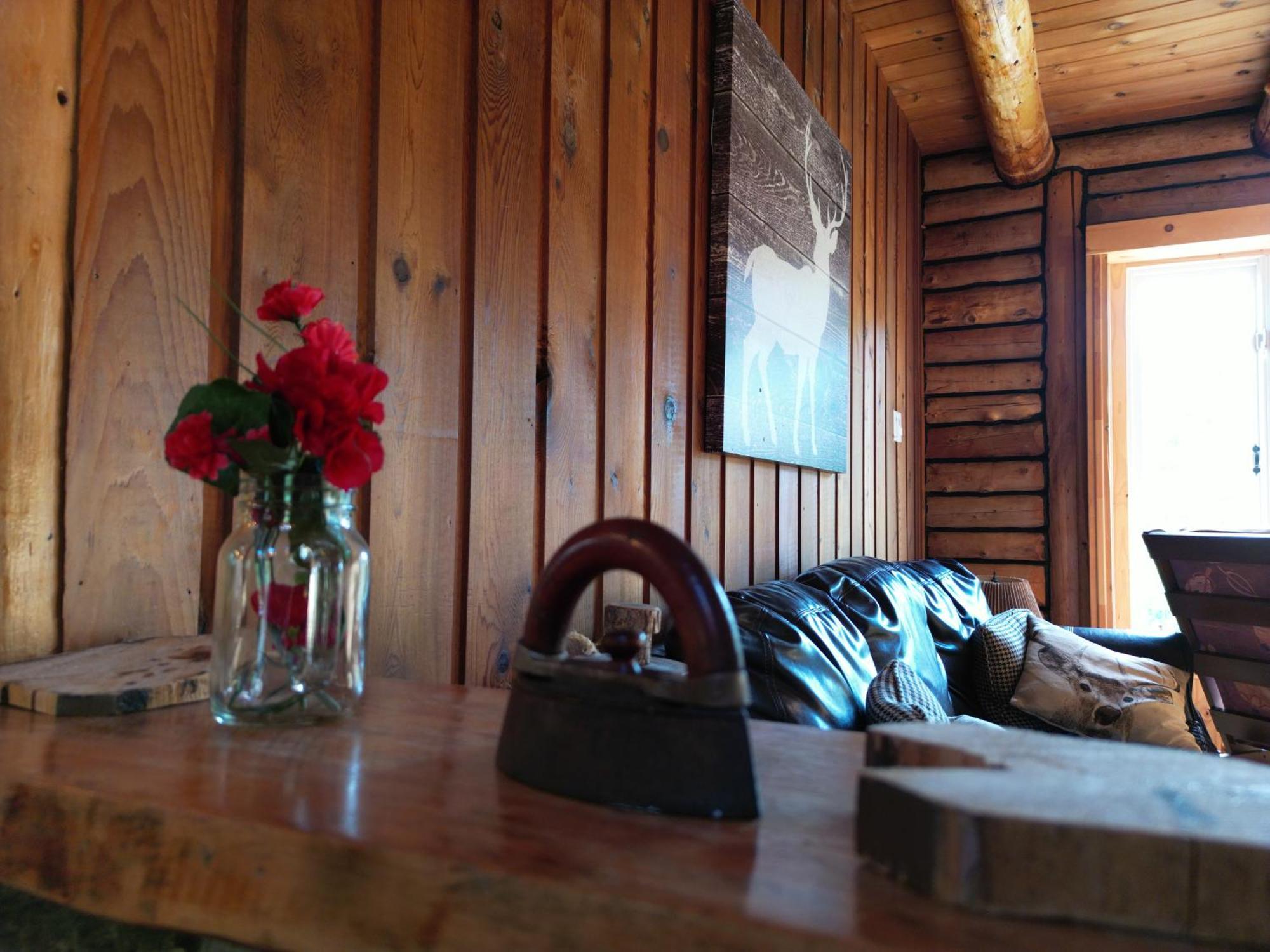Cozy Log Cottage La Minerve Dış mekan fotoğraf